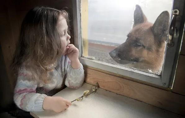 Картинка собака, окно, девочка