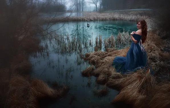 Картинка девушка, птицы, озеро