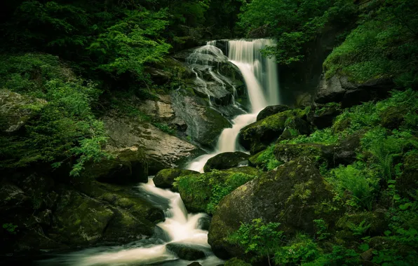 Картинка лес, камни, водопад, валуны