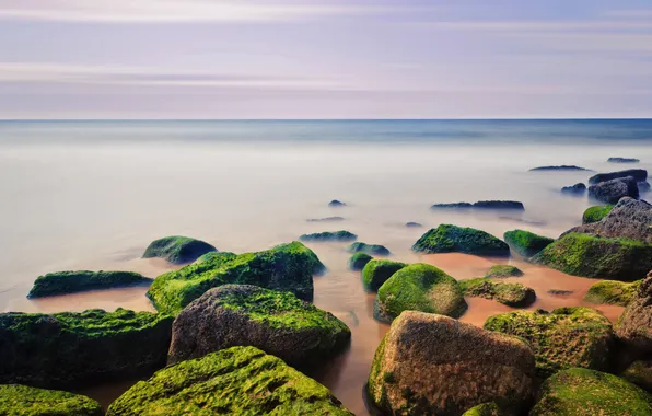 Картинка песок, море, пляж, небо, водоросли, камни, берег, мох