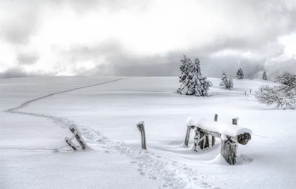 Картинка зима, поле, снег, пейзаж