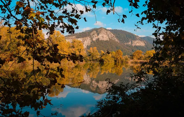 Осень, лес, небо, облака, деревья, горы, ветки, отражение