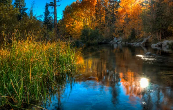 Картинка осень, небо, трава, деревья, озеро, камни