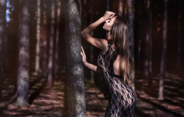 Картинка лес, девушка, деревья, поза, настроение, фигура, платье, длинные волосы