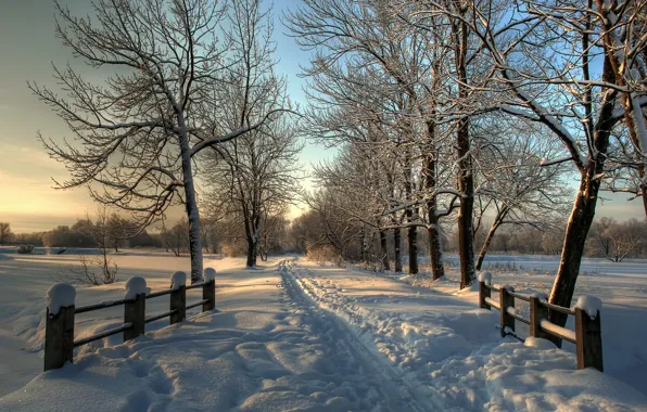 Картинка зима, снег, деревья
