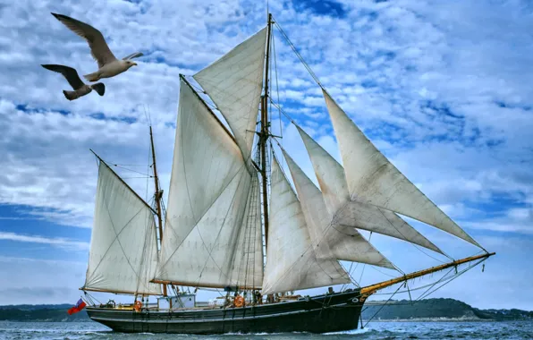 Море, небо, птицы, парусник