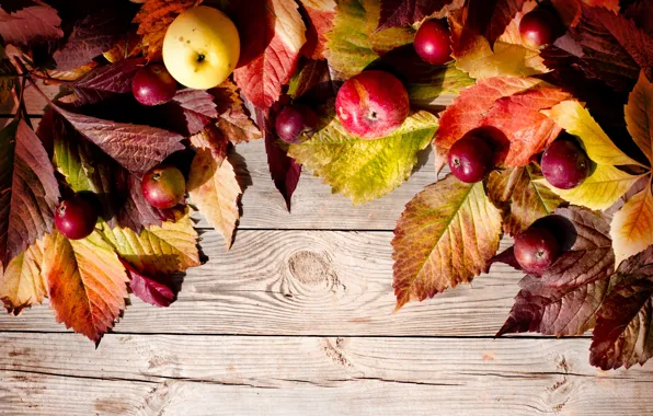 Картинка осень, листья, яблоки, autumn, leaves, apples
