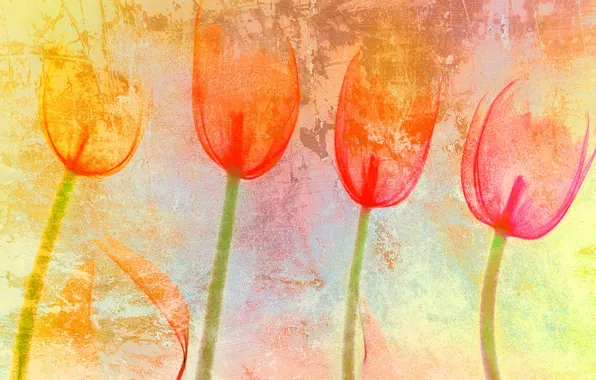 Фон, цвет, текстура