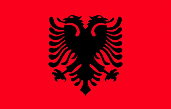 Флаг, red, орёл, black, eagle, албания, fon, flag