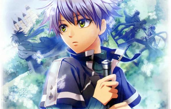Снежинки, замок, мальчик, плащ, зеленые глаза, visual novel, beast master and prince, silvio