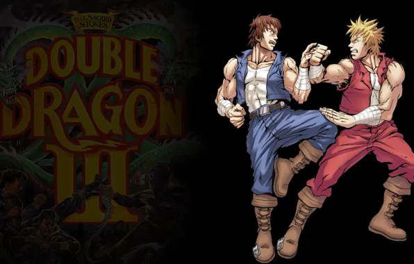 NES, Double Dragon, Billy &amp; Jimmy
