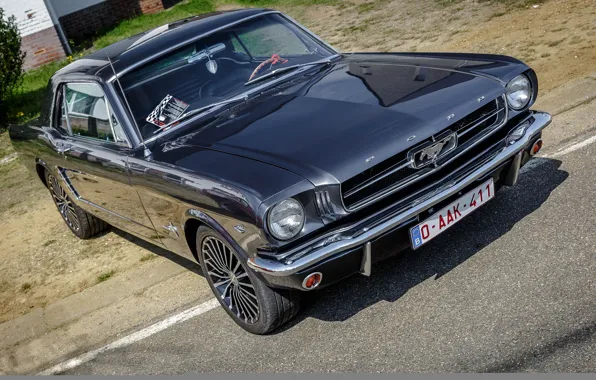 Mustang, Ford, 1964, Hrome