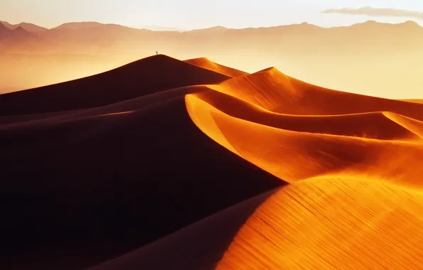 Песок, свет, барханы, пустыня, человек, утро, дюны, золотые пески