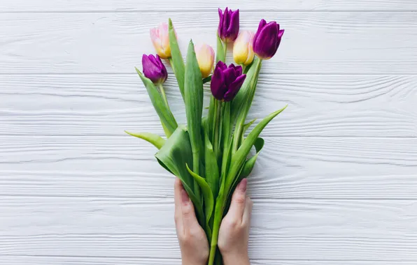 Картинка цветы, букет, фиолетовые, тюльпаны, wood, flowers, tulips, spring