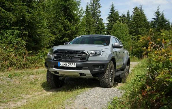 Картинка деревья, серый, Ford, Raptor, пикап, Ranger, 2019