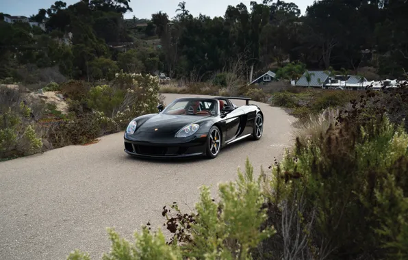 Картинка Porsche, supercar, black, Porsche Carrera GT