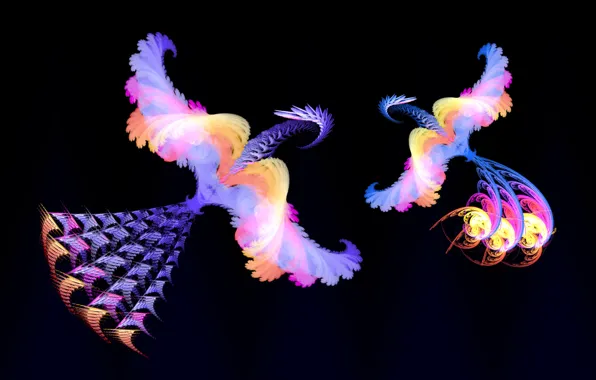 Птицы, фантазия, фракталы, минимализм, fantasy, черный фон, birds, fractals