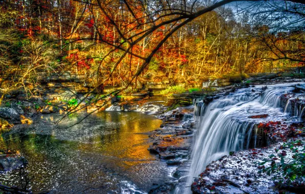 Картинка осень, лес, деревья, река, камни, листва, водопад, перекаты