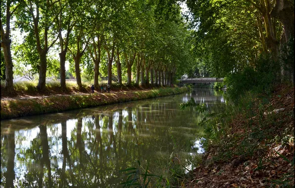 Картинка деревья, мост, парк, люди, канал, франция, canal du midi