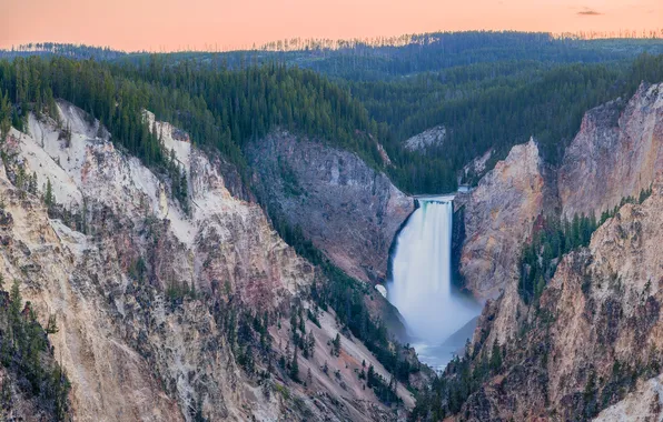 Лес, пейзаж, природа, скалы, водопад, каньон, национальный парк, The Grand Canyon of Yellowstone National Park
