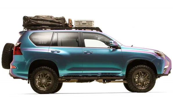 Concept, Lexus, Лексус, Lexus GX460 Overland