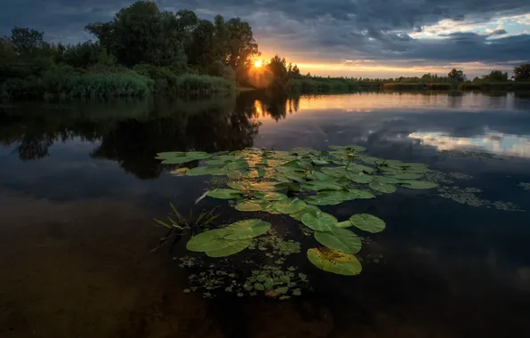 Лето, небо, деревья, закат, река