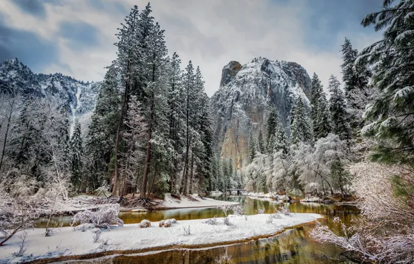 Картинка зима, лес, снег, горы, Калифорния, США, речка, Национальный парк Йосемити