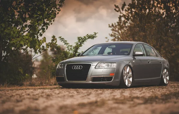 Ауди, audi