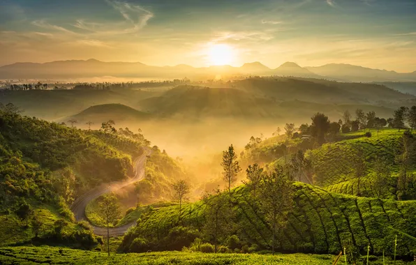 NATURE, LANDSCAPE, SUNRISE, MORNING, MOUNTAIN, VIEW, GREEN, INDONESIA