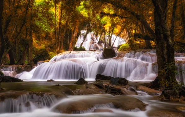 Лес, пейзаж, река, скалы, водопад, summer, forest, тропический
