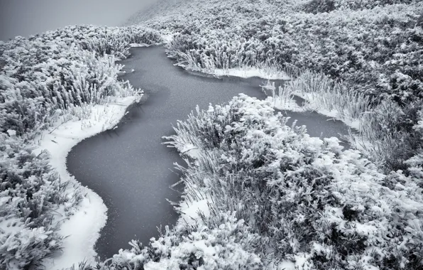 Зима, иней, природа, река, растительность, мороз