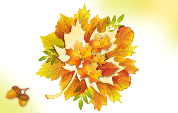 Картинка осень, листья, коллаж, желуди