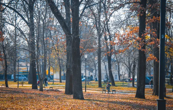 Картинка осень, деревья, парк, люди, дерево, улица, Пейзаж, лавочки