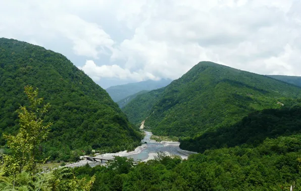 Картинка лес, лето, туман, озеро