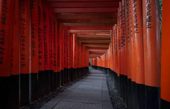 Japan, Kyoto, Киото, Léonard Rodriguez, Fushimi Inari Shrine in Kyoto