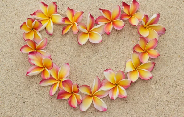 Картинка песок, пляж, цветы, сердце, love, beach, heart, flowers