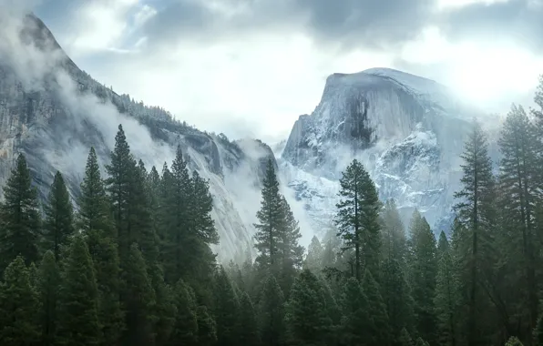 Природа, Горы, Деревья, Калифорния, США, Йосемити, Невада, Sierra