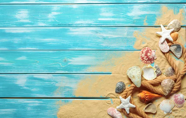 Песок, пляж, лето, звезды, ракушки, summer, beach, wood