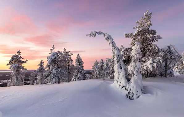 Картинка зима, снег, закат