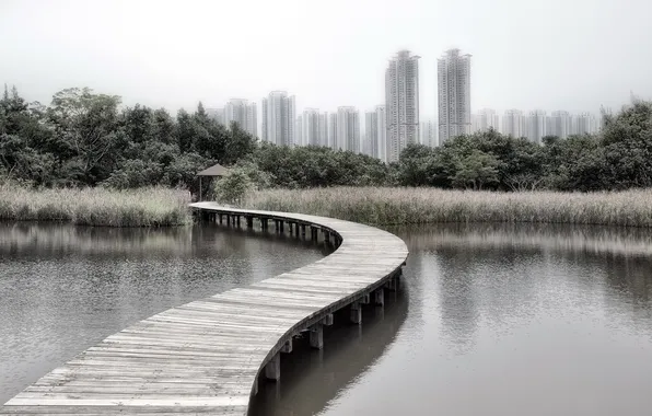 Картинка город, Hong Kong, Wetland Park