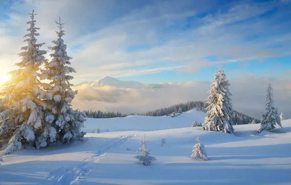 Картинка зима, лес, небо, солнце, облака, лучи, снег, пейзаж