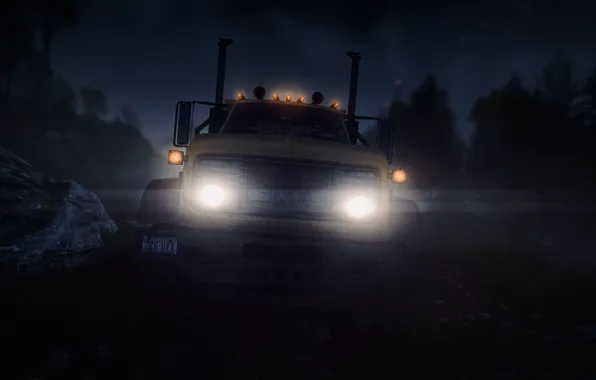 HDR, Light, Wood, Night, Truck, Game, Trees, UHD
