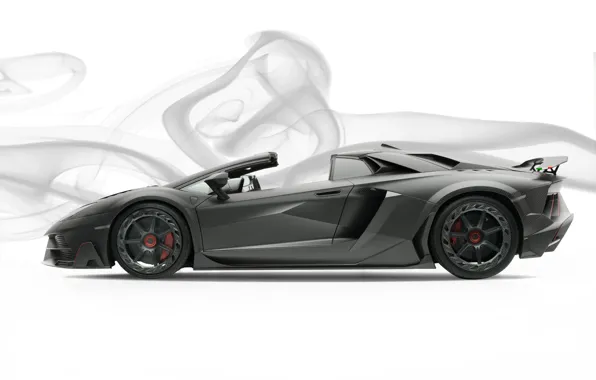 Roadster, Lamborghini, суперкар, Aventador, Mansory, 2019, Carbonado Evo