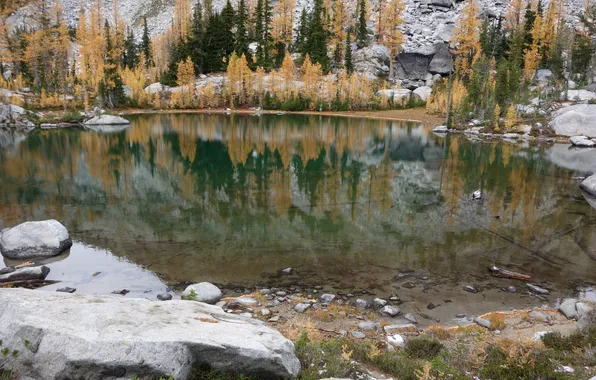 Картинка осень, деревья, озеро, камни, склон