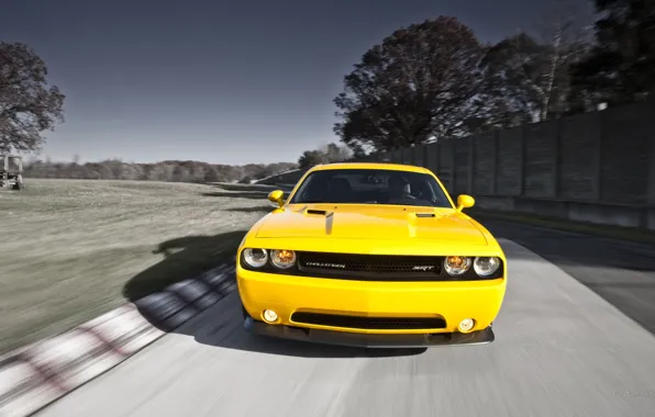 Желтый, Yellow, Dodge Challenge, додже чалленгер