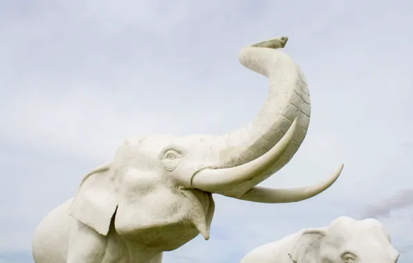 White, elephant, statue