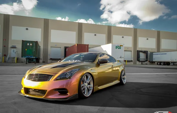 Картинка Infiniti, G37, Scorpio, ACE, acealloywheel