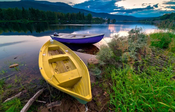 Картинка лес, трава, деревья, горы, река, берег, лодка, вечер