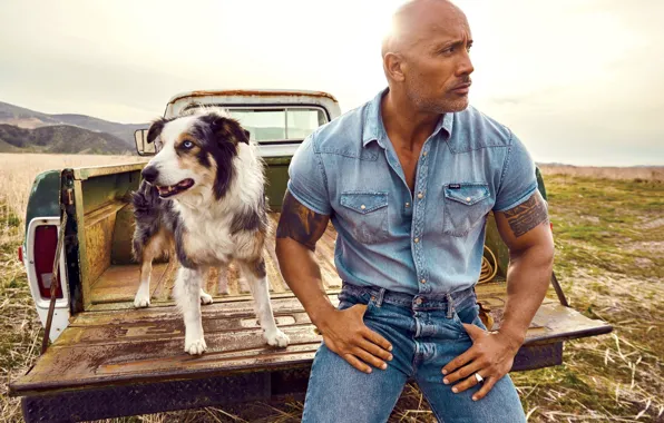 Машина, собака, актёр, качок, Dwayne Johnson, Dwayne Johnson (The Rock)