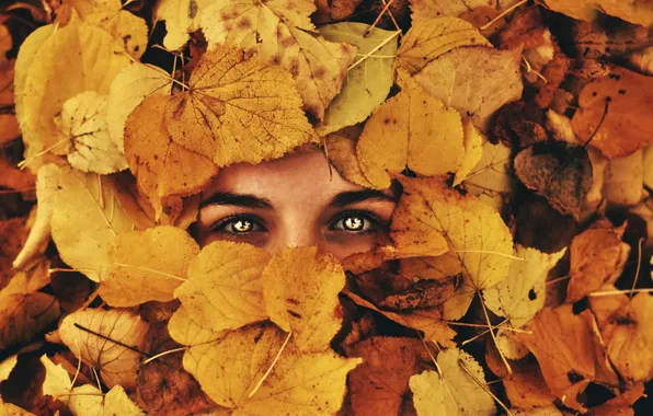 Осень, глаза, взгляд, листья, фон